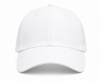 113 Trucker Cap - custom patch by Fineyst Patches