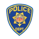 Custom Police Patches thumbnail 3