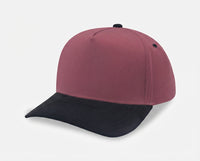 5 Panel Suede Cap