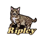 custom cat patches thumbnail 2