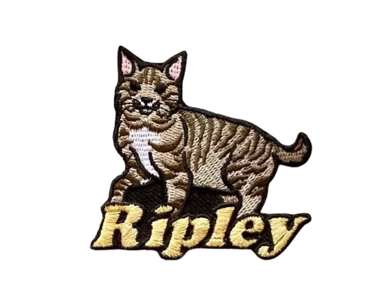 custom cat patches - View 2