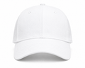 113 Trucker Cap