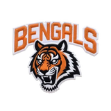 custom bengals patches thumbnail 1
