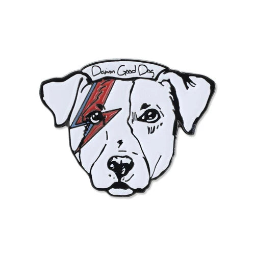 pin test