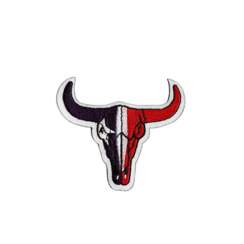 Texas Flag Longhorn Skull Applique Patch