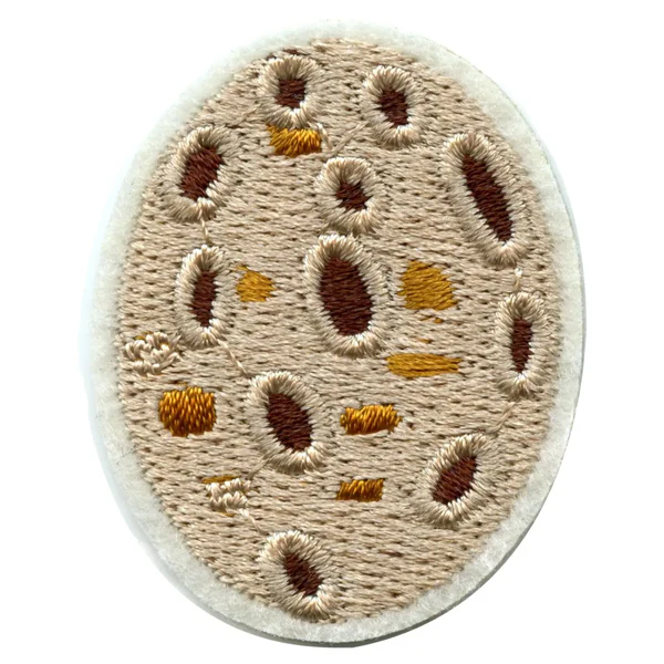 Small Brown Asteroid Embroidered Patch